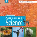 Amazing Science Revised Edition Book 4