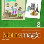 Mathsmagic Book 8