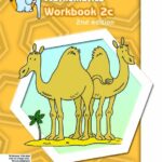 Nelson International Mathematics Workbook 2C
